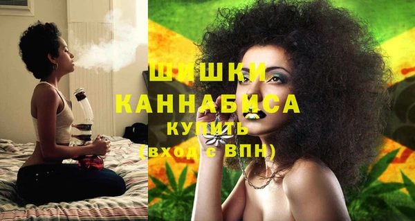 первитин Няндома