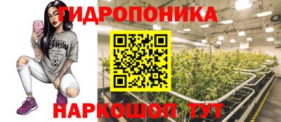 крисы Ставрополь