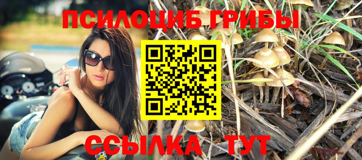 Галлюциногенные грибы GOLDEN TEACHER Узловая