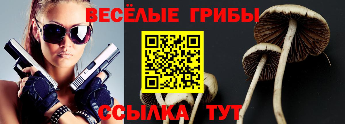 Галлюциногенные грибы Psilocybe  Вход с VPN  Узловая  Галлюциногенные грибы мицелий 